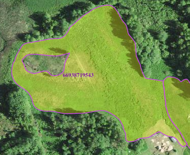 Kalevi2.PNG