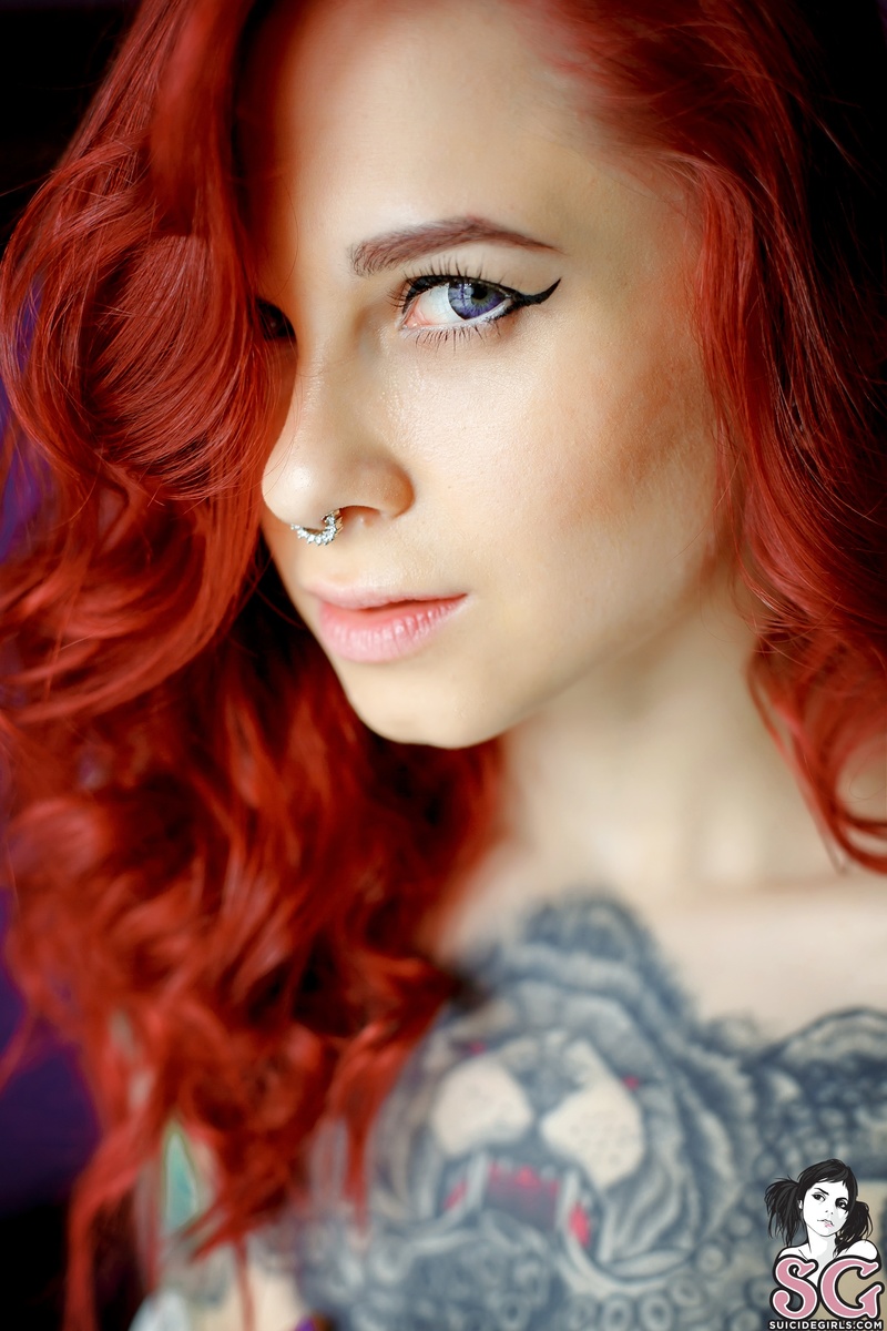 talketna-aristocraticmorning-21.jpg