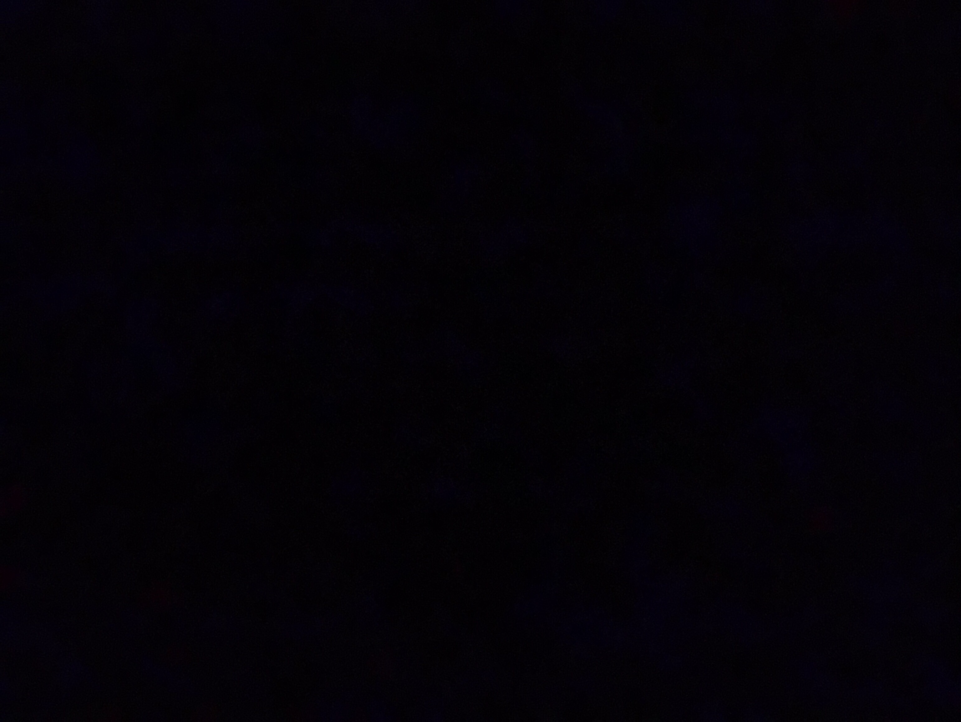 file.jpg