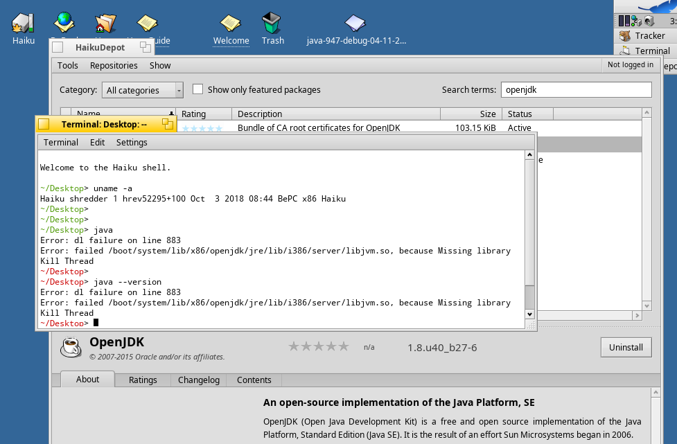 Haiku OpenJDK start error