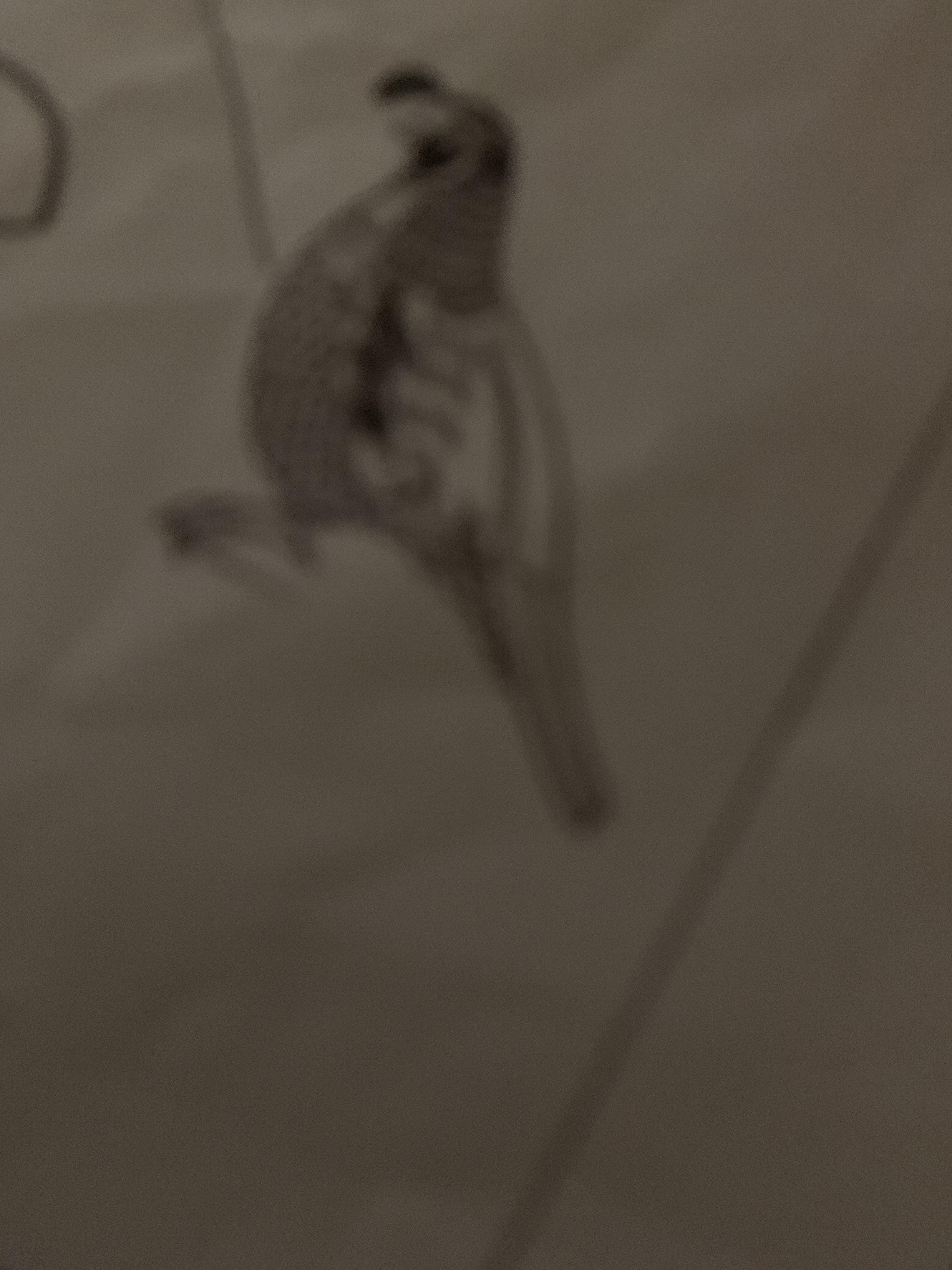 file.jpg