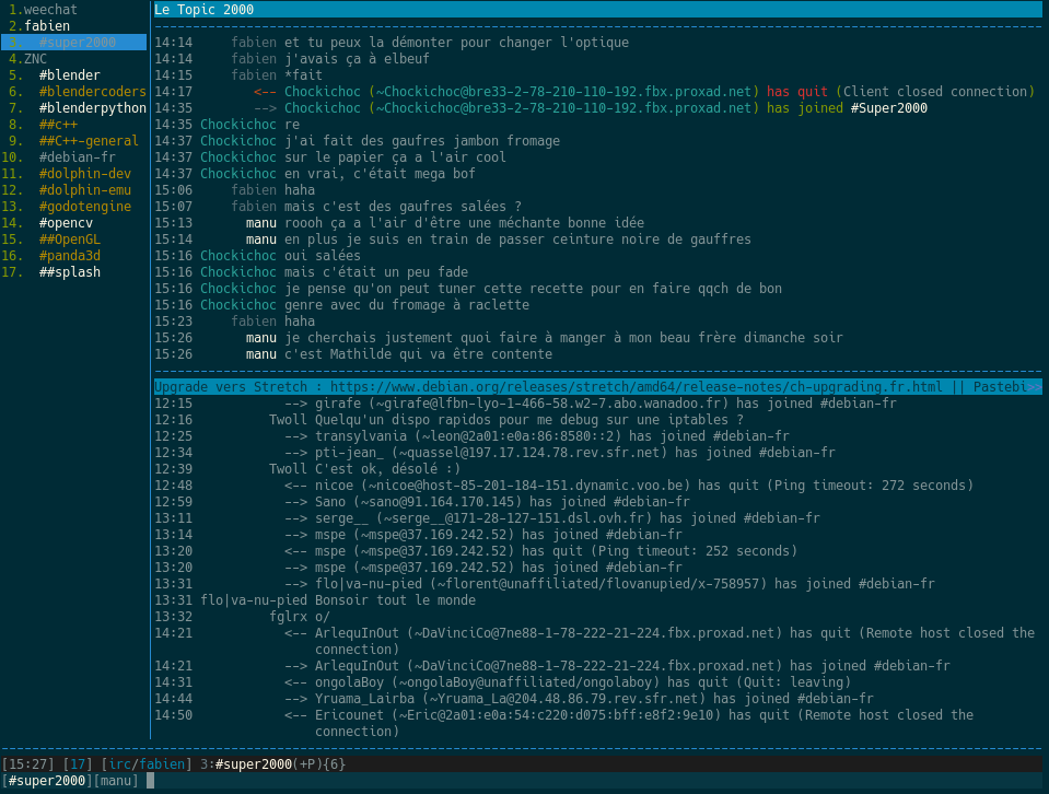 IRC pron
