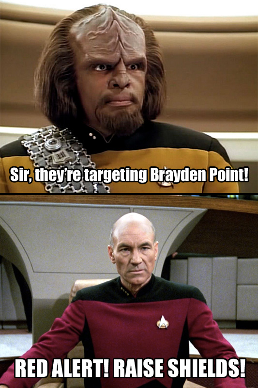 Pointer.jpg