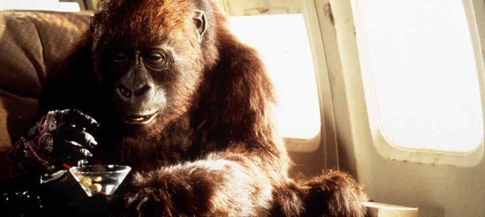 ape.jpg