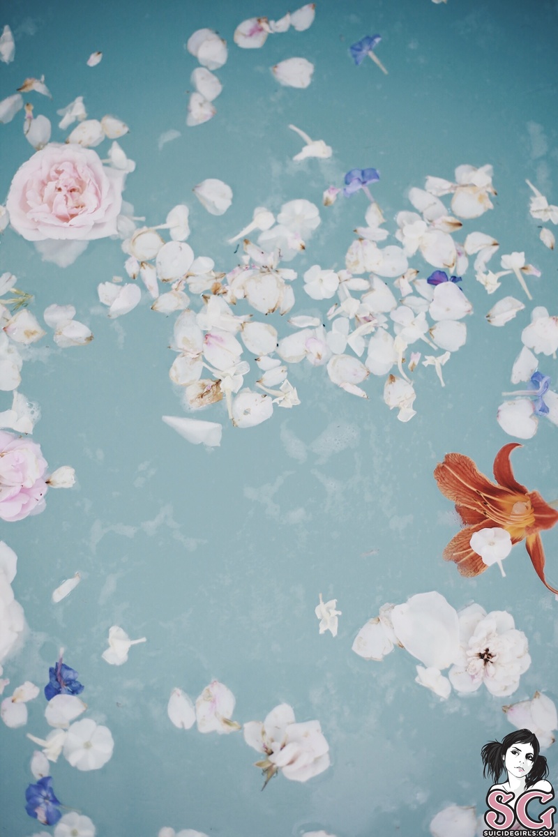 minagail-delicate-03.jpg