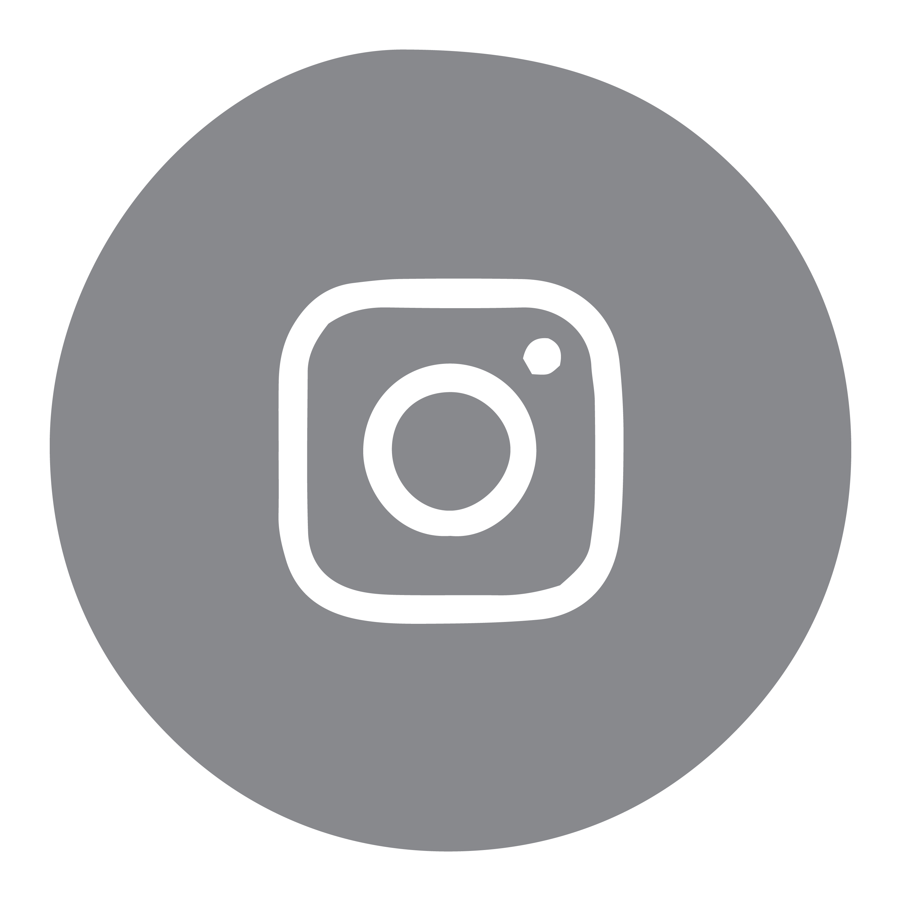 Instagram Icon