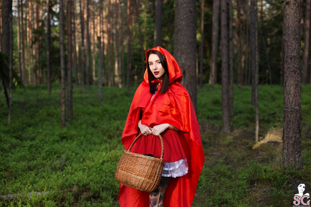 nastyaveter-littleredridinghood-01.jpg