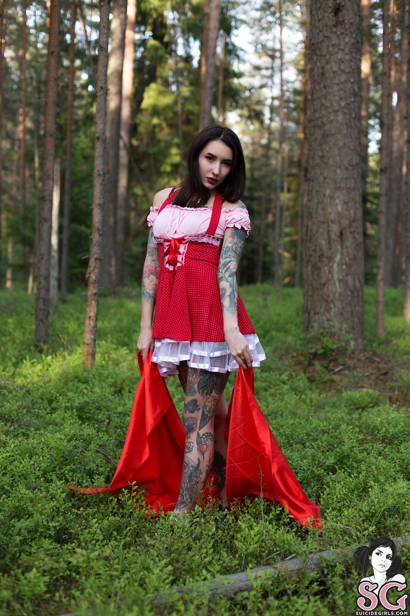 nastyaveter-littleredridinghood-03.jpg