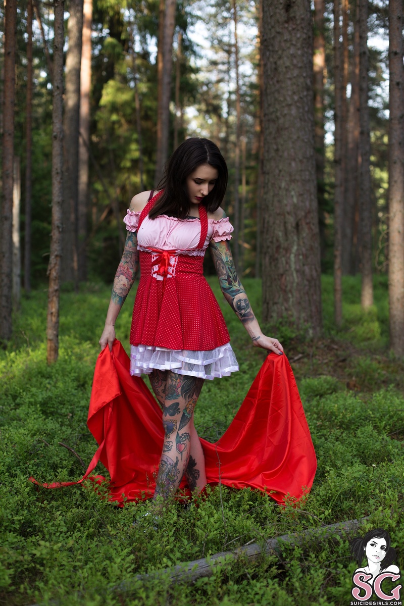 nastyaveter-littleredridinghood-05.jpg