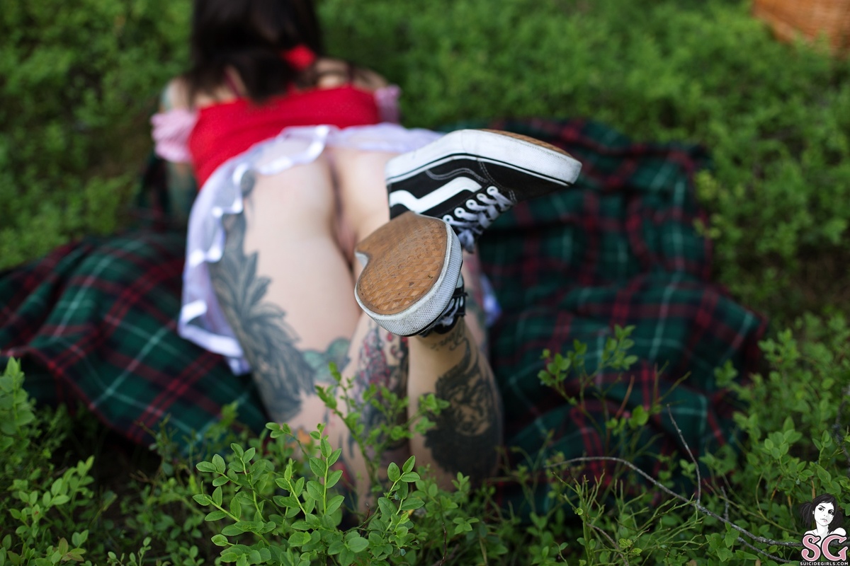 nastyaveter-littleredridinghood-19.jpg