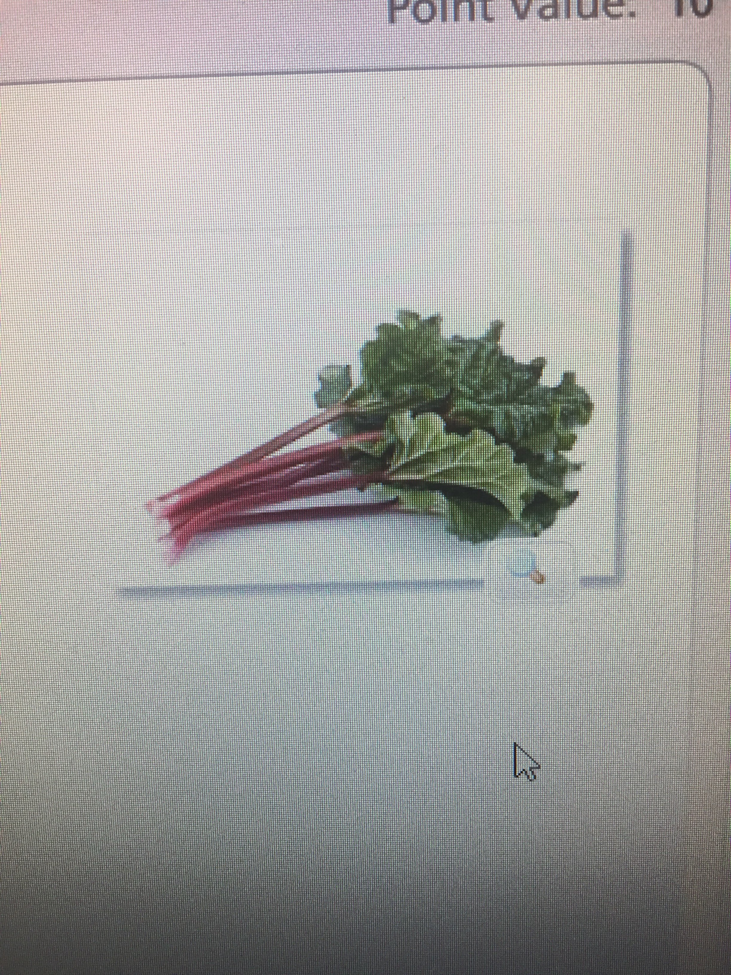 file.jpg