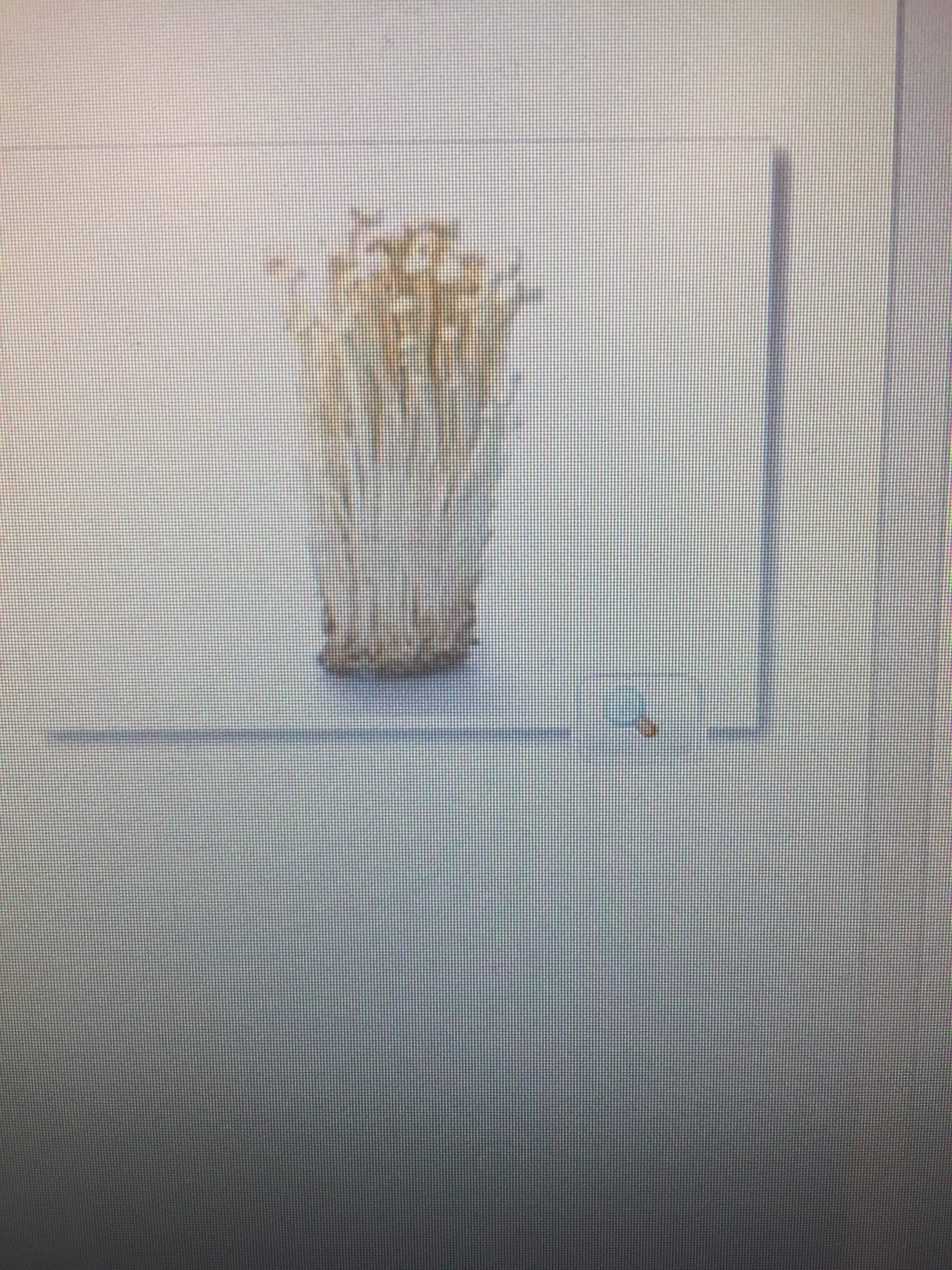 file.jpg