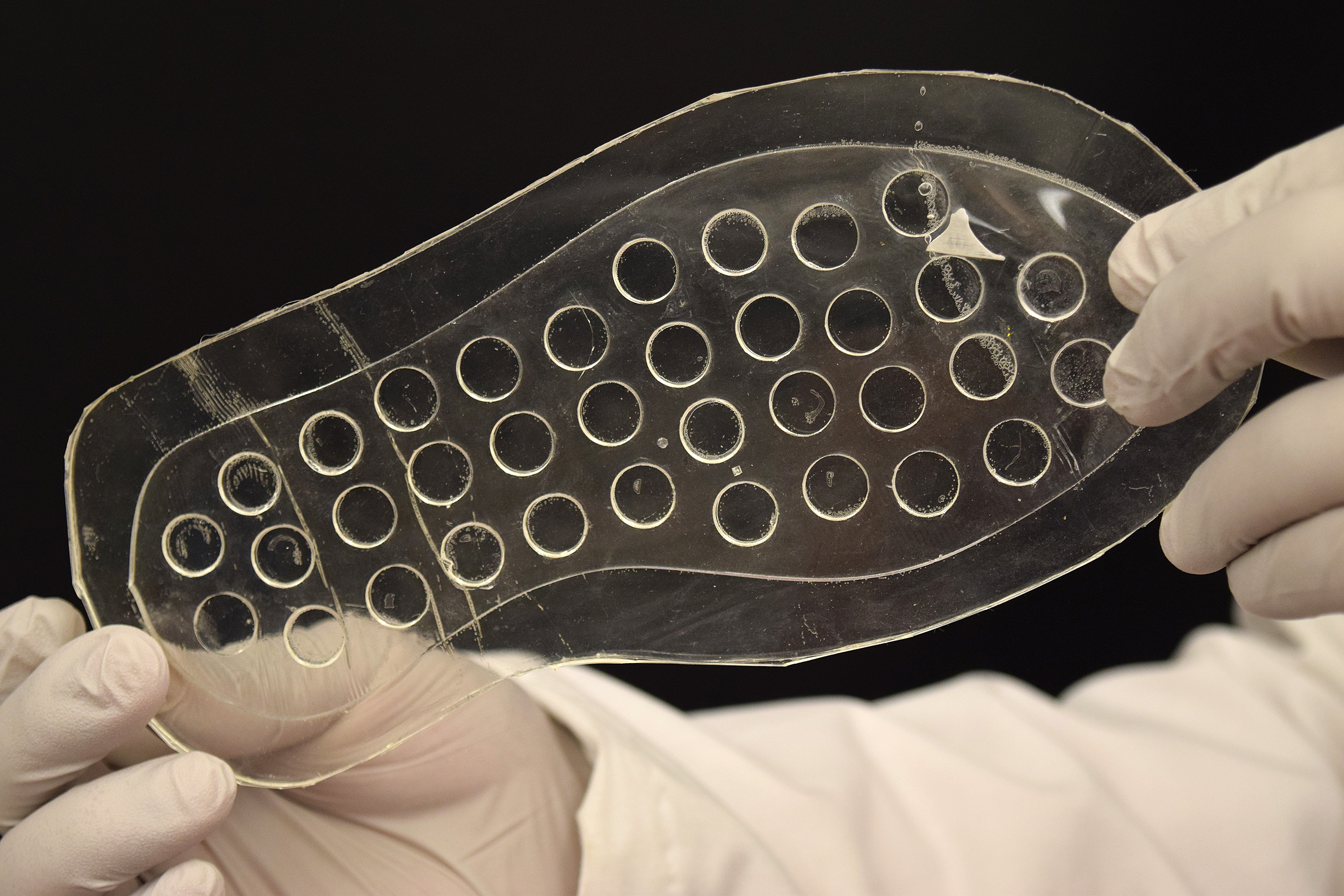 ziaie-insole1.jpg