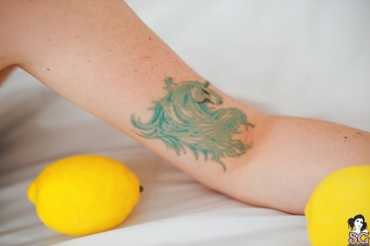 vickyvikernes-lemonunicorn-15.jpg