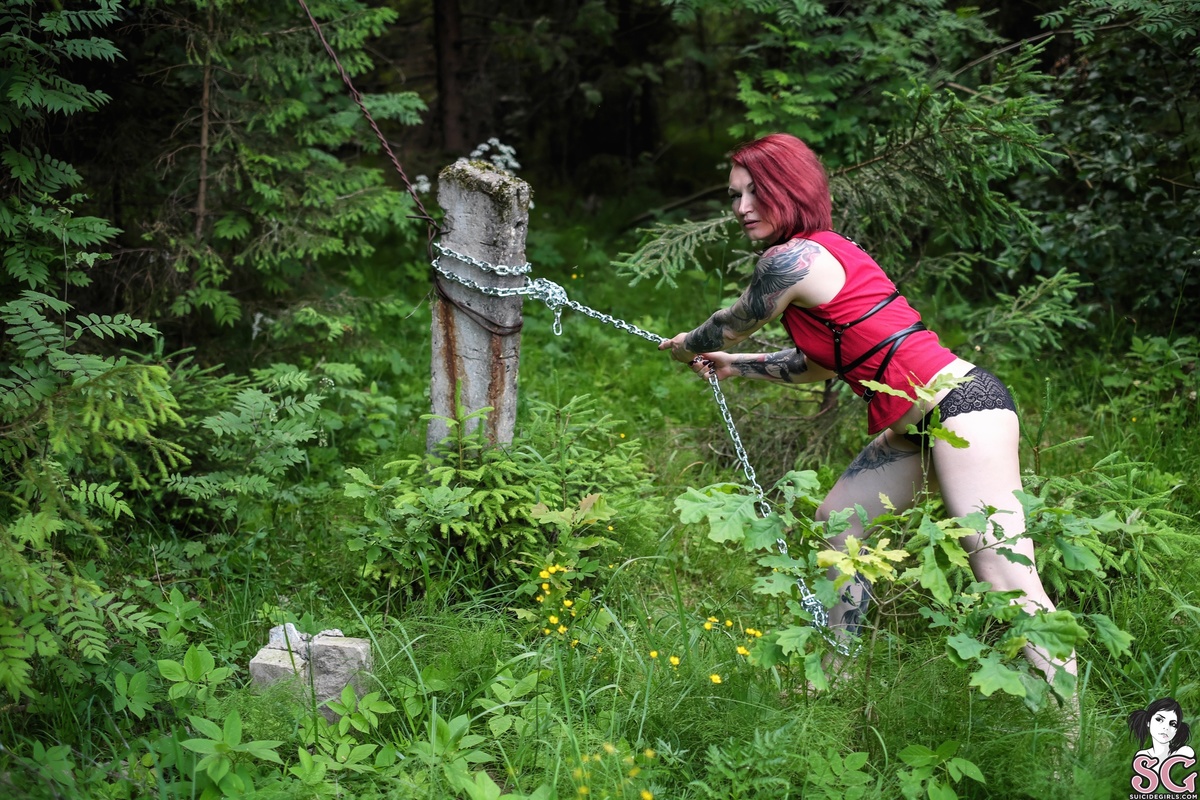 cannyfox-chainforestmystery-03.jpg