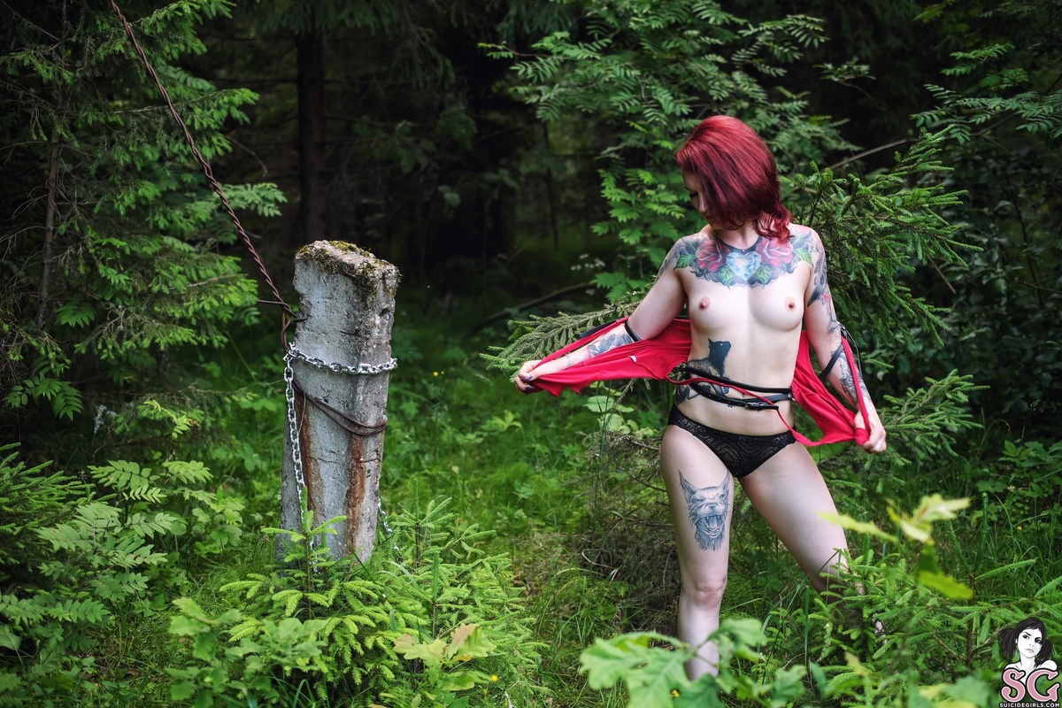 cannyfox-chainforestmystery-07.jpg