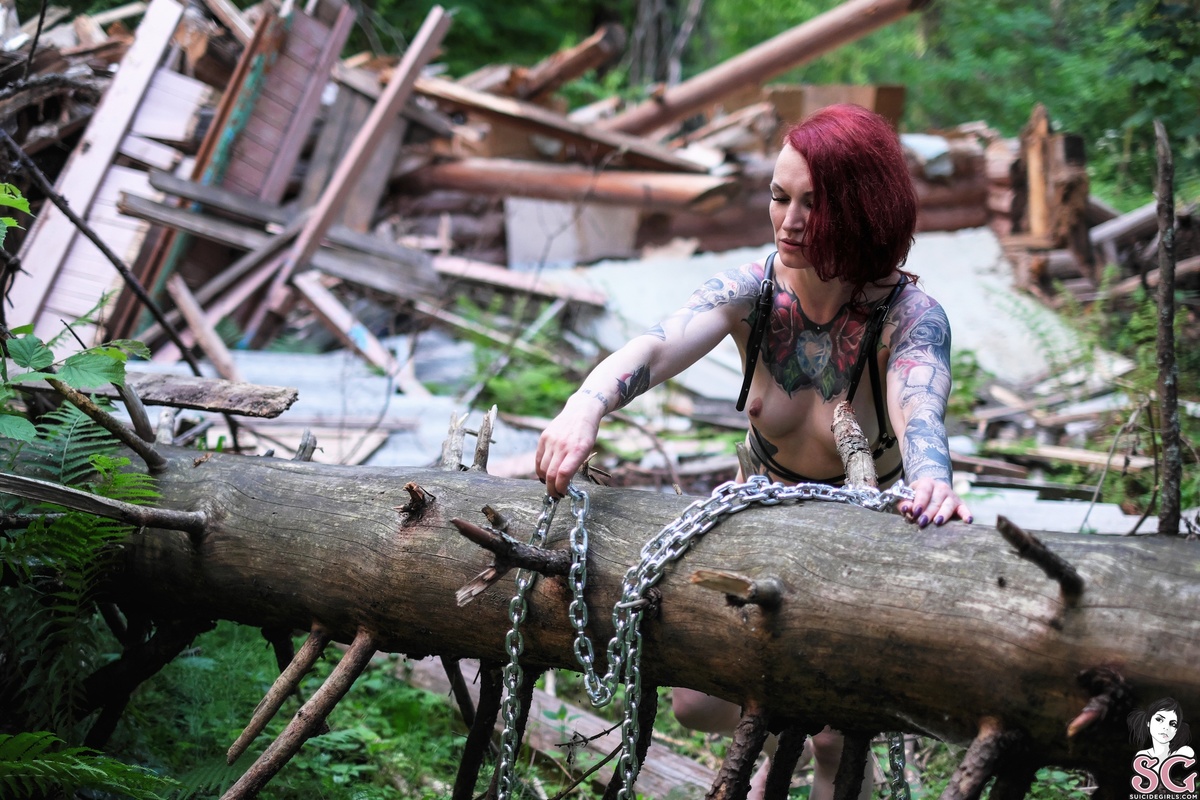 cannyfox-chainforestmystery-27.jpg