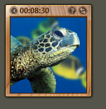 asdsad.png