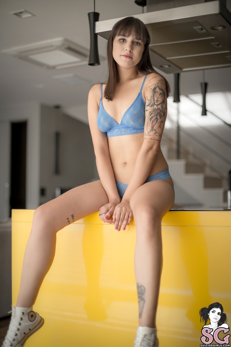 carolz-bluejay-11.jpg