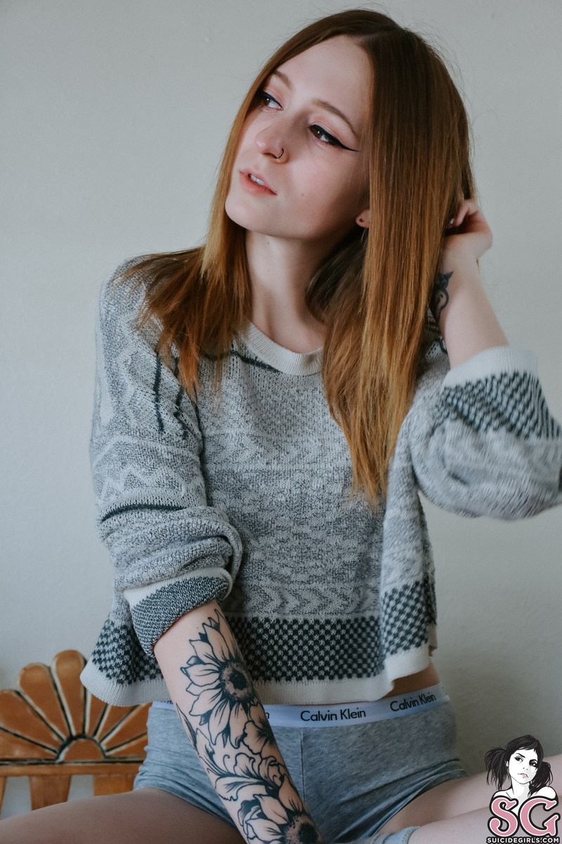 morikat-sunnygray-05.jpg
