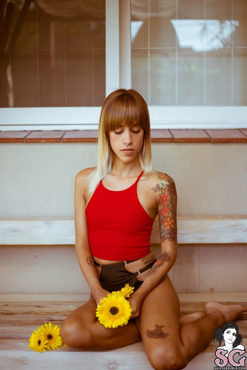 karenia-sunflowergarden-01.jpg