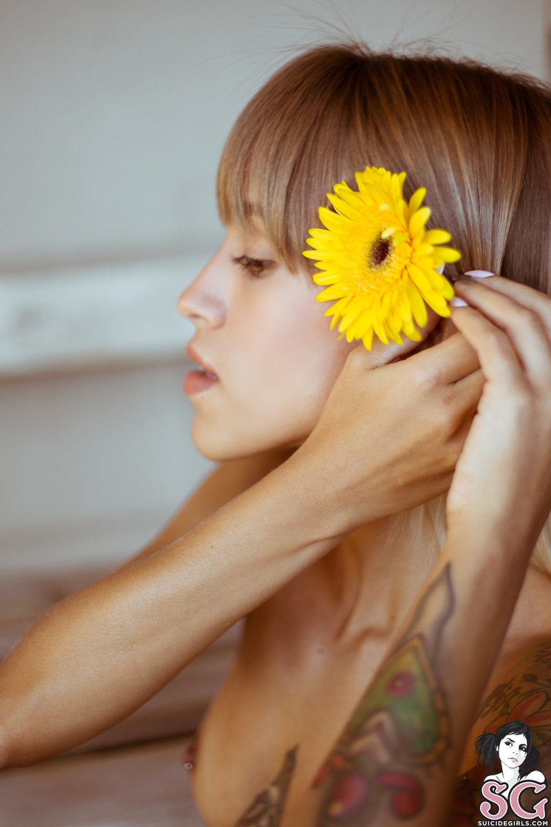 karenia-sunflowergarden-37.jpg