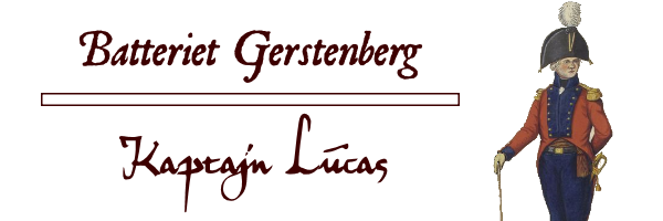 danskbanner2.png