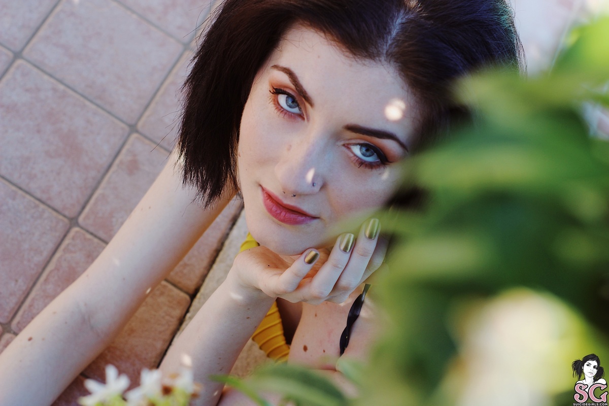 dasirya-sunflower-01.jpg