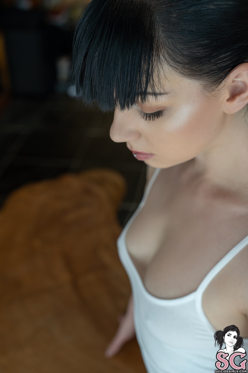 turtle-bluejean-05.jpg
