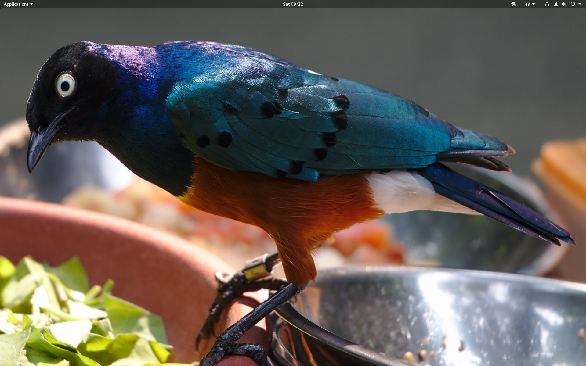 Screenshotfrom2018-12-0809-22-19.png