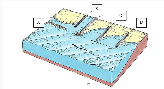 dealing with beach erosion