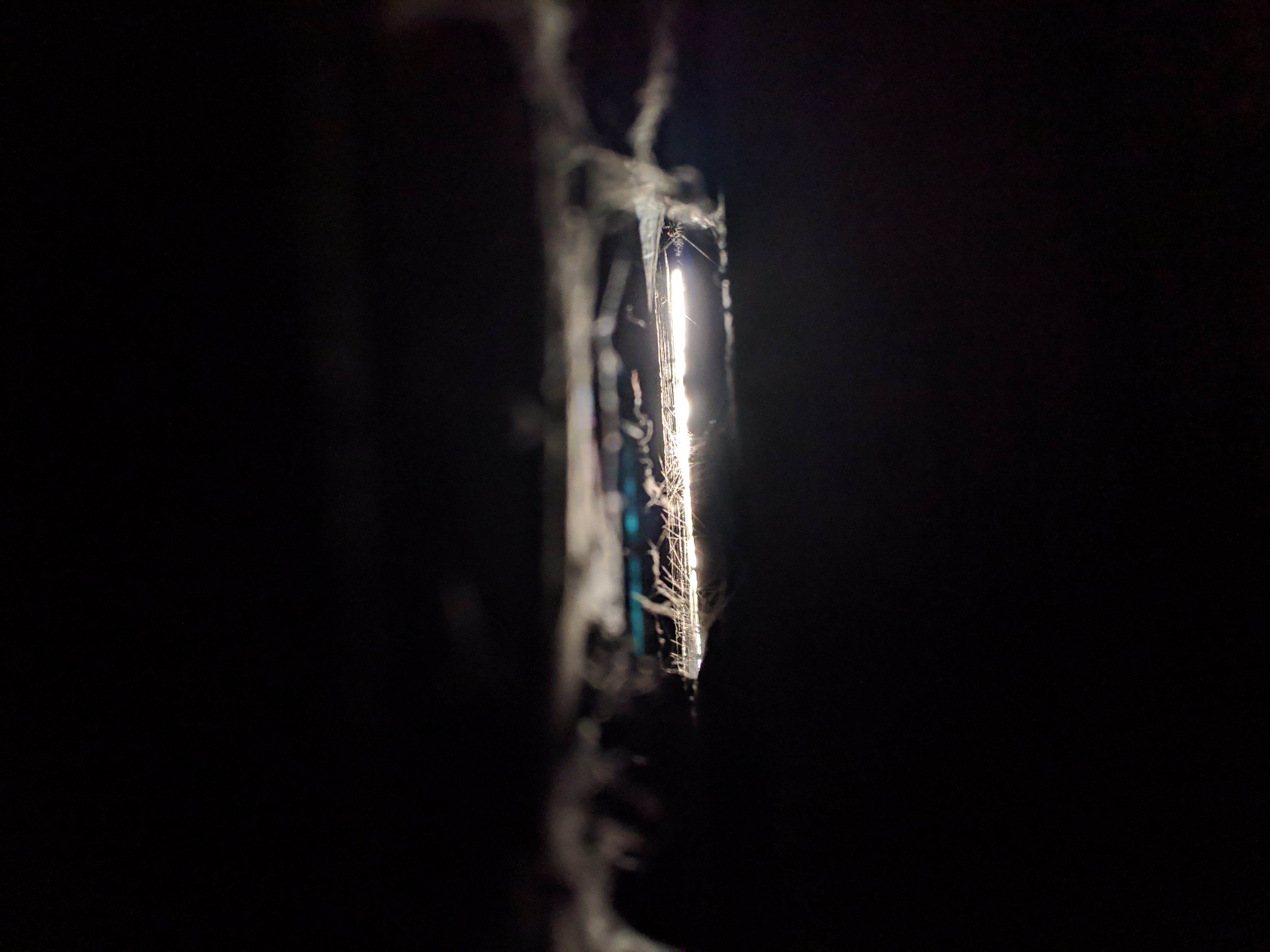 MVIMG_20181208_132139.jpg