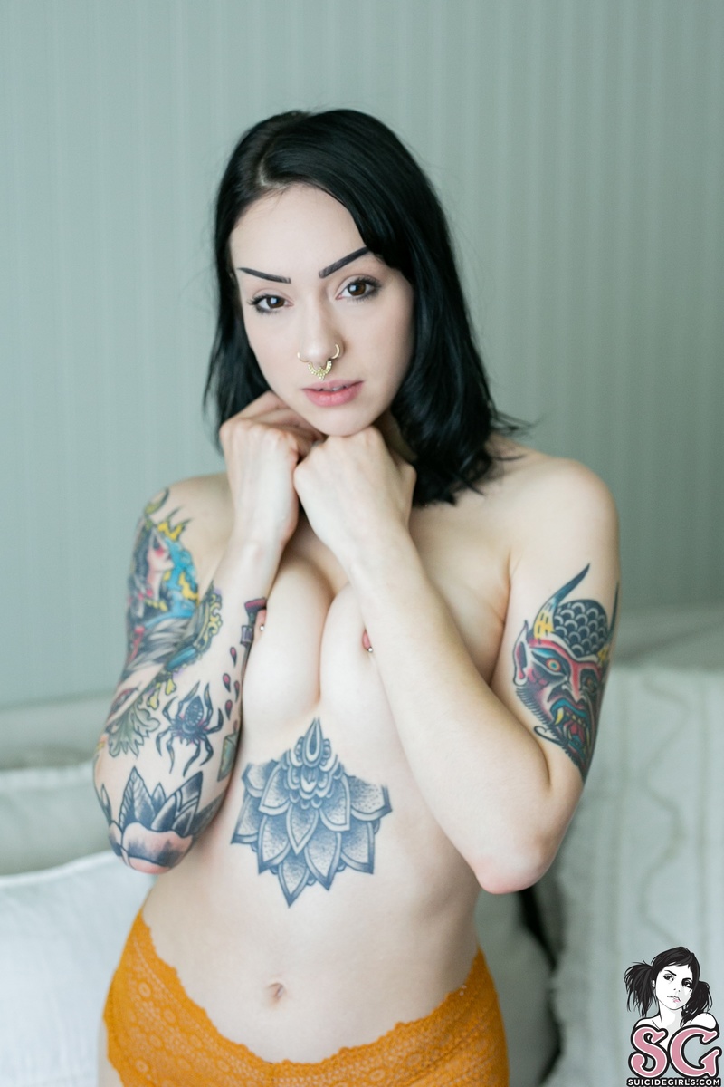 feryn-disentigration-17.jpg