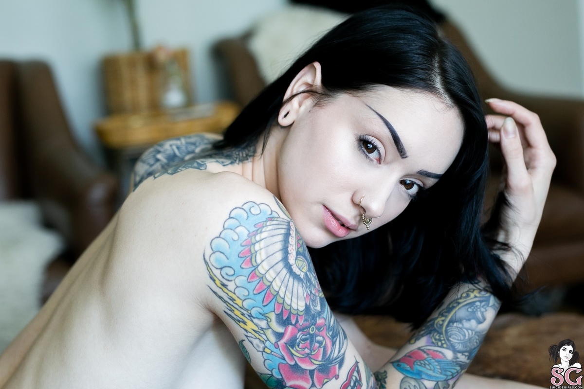 feryn-disentigration-25.jpg