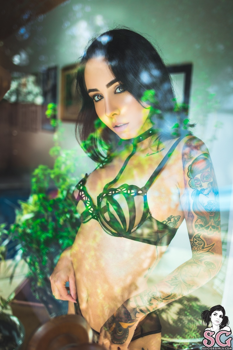 eveel-throughthewindow-05.jpg