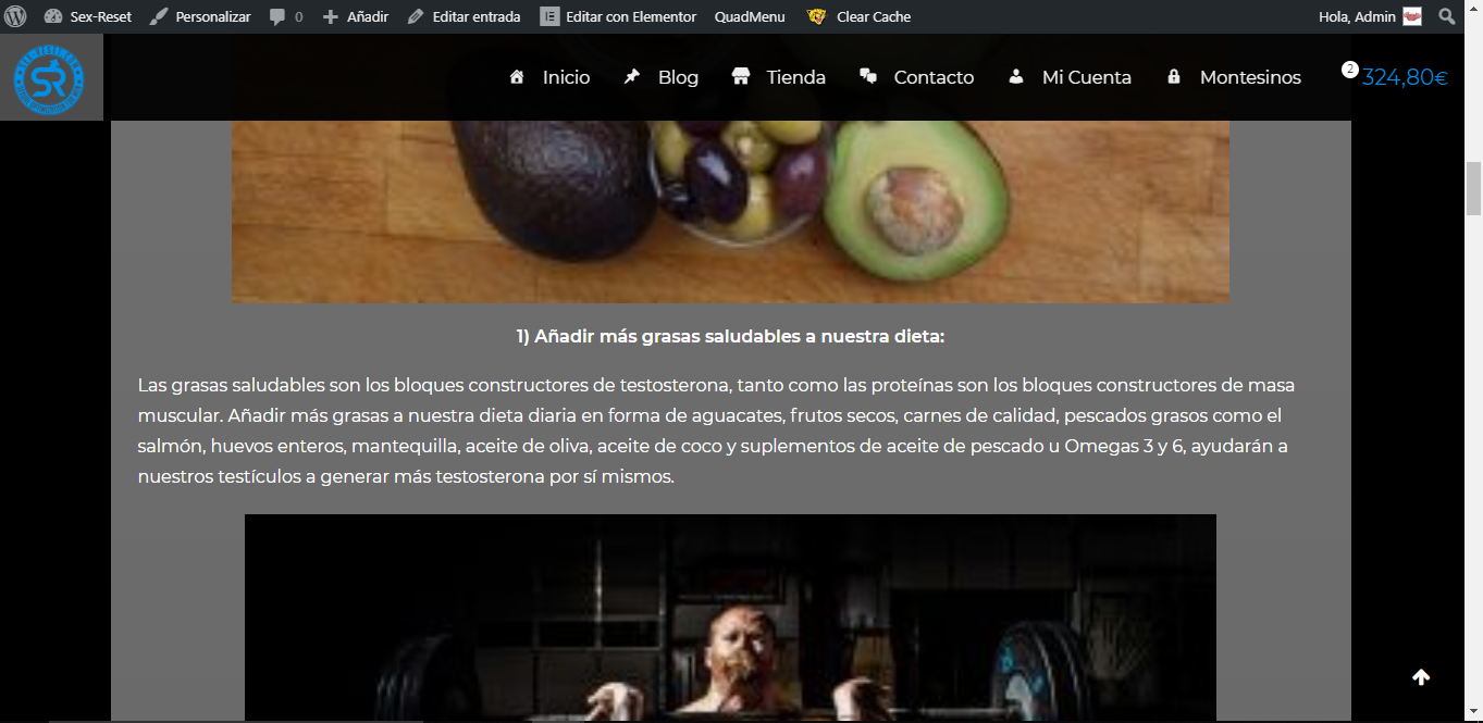 website.png