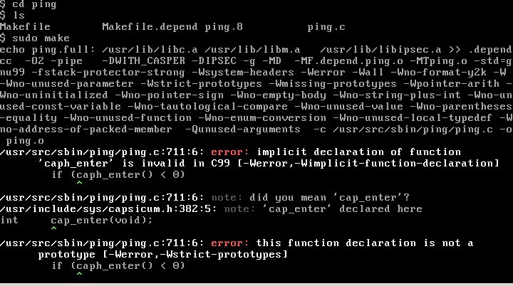 ping.jpg