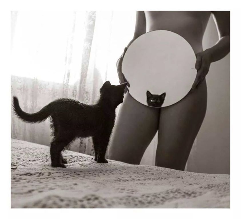 pussy.jpg