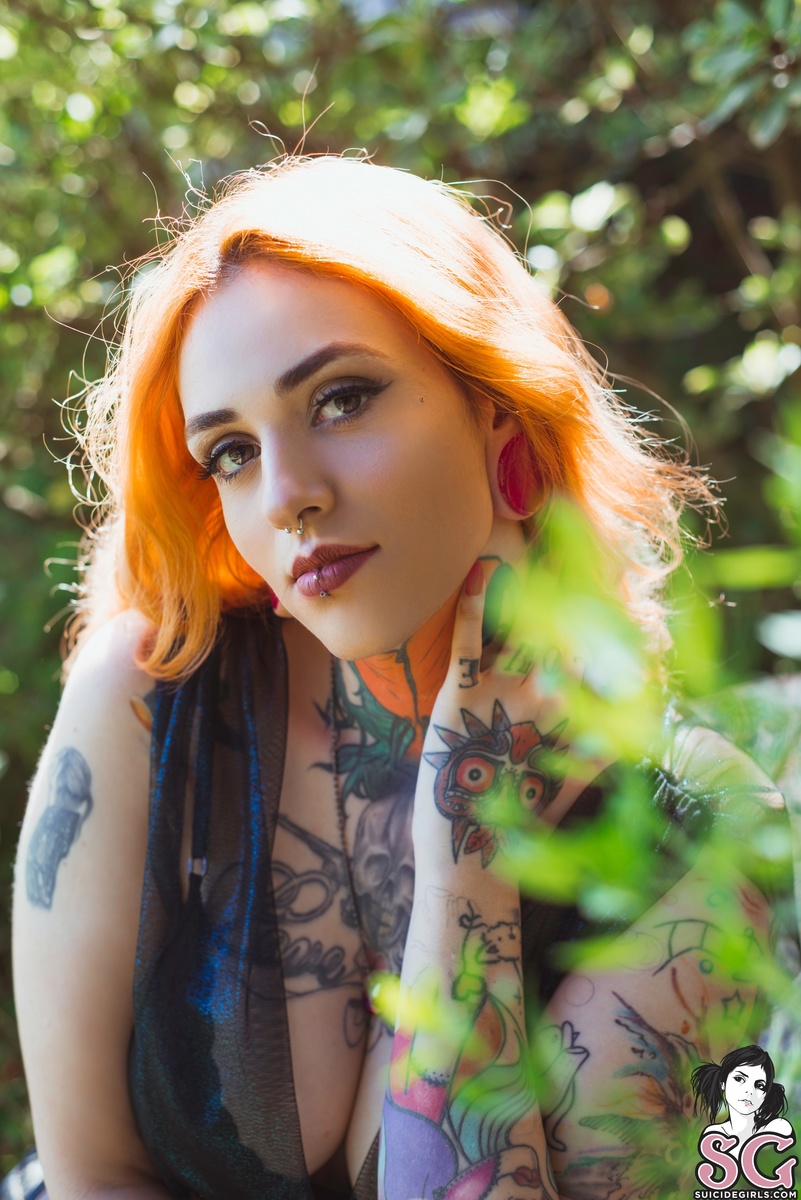 majora-ladybugspicnic-01.jpg