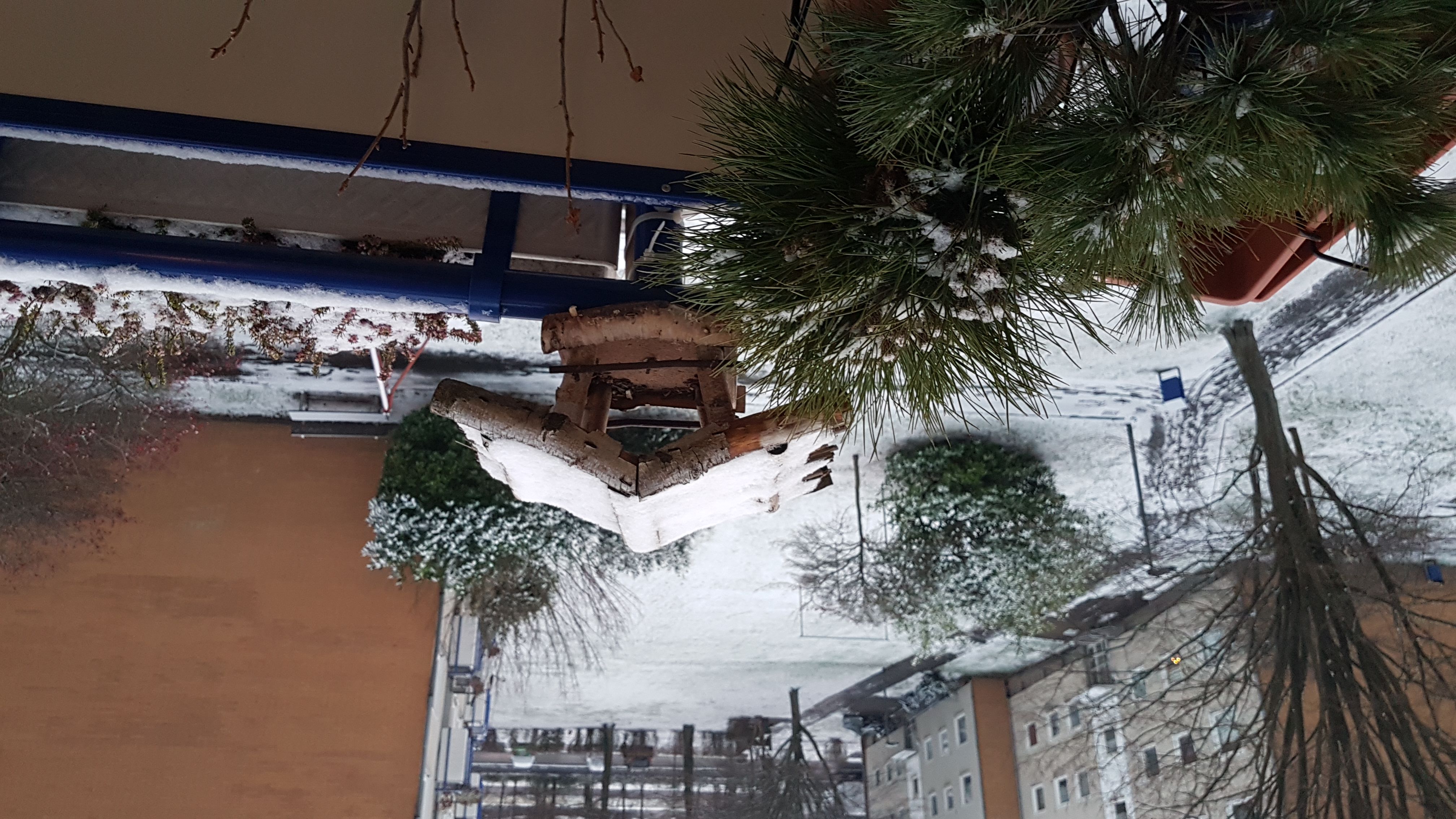 IMG-20181216-WA0002.jpeg