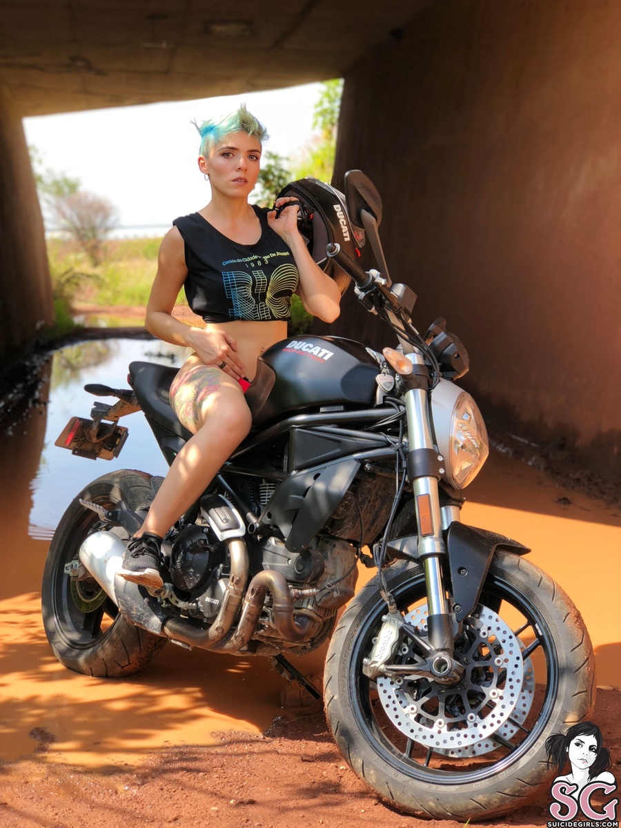 lyworld-roadtrip-01.jpg