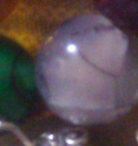 RIS.jpg