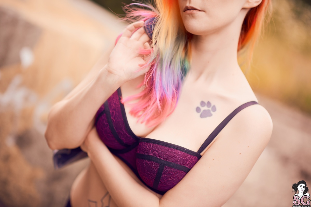 catpaw-tastetherainbow-03.jpg
