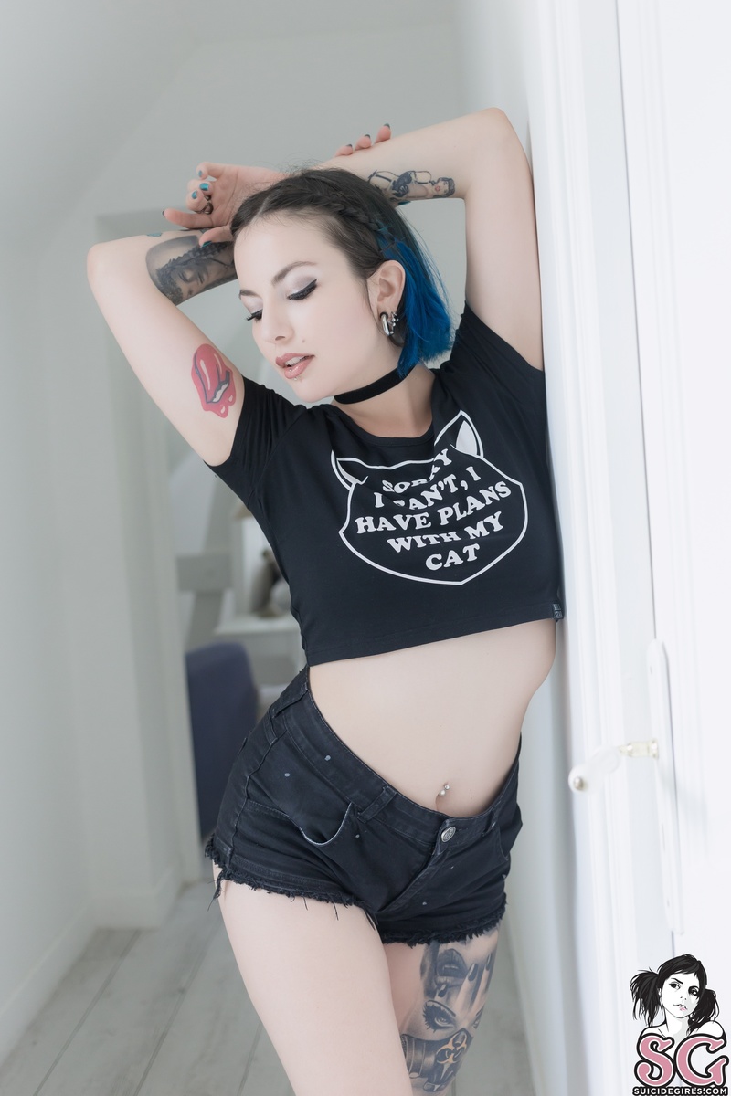 evanesco-felina-01.jpg
