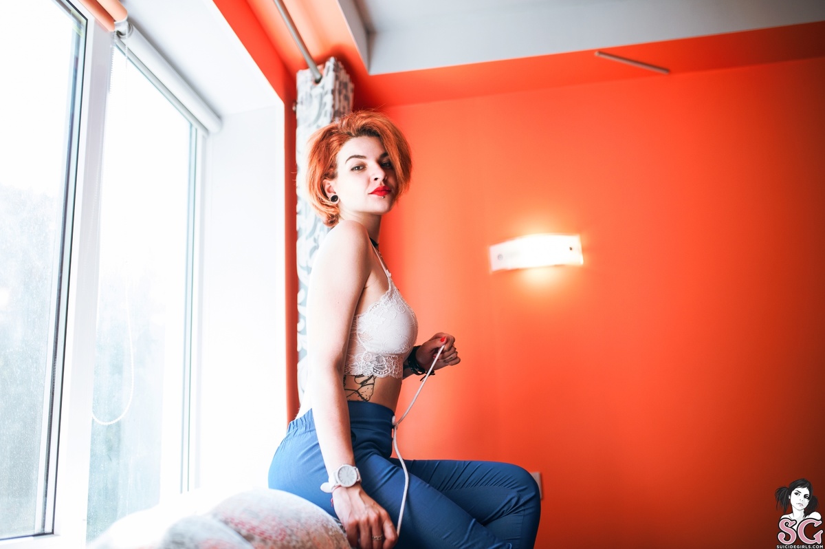 wilgelm-cuteharmfulfox-13.jpg