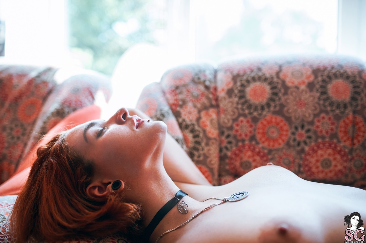 wilgelm-cuteharmfulfox-33.jpg