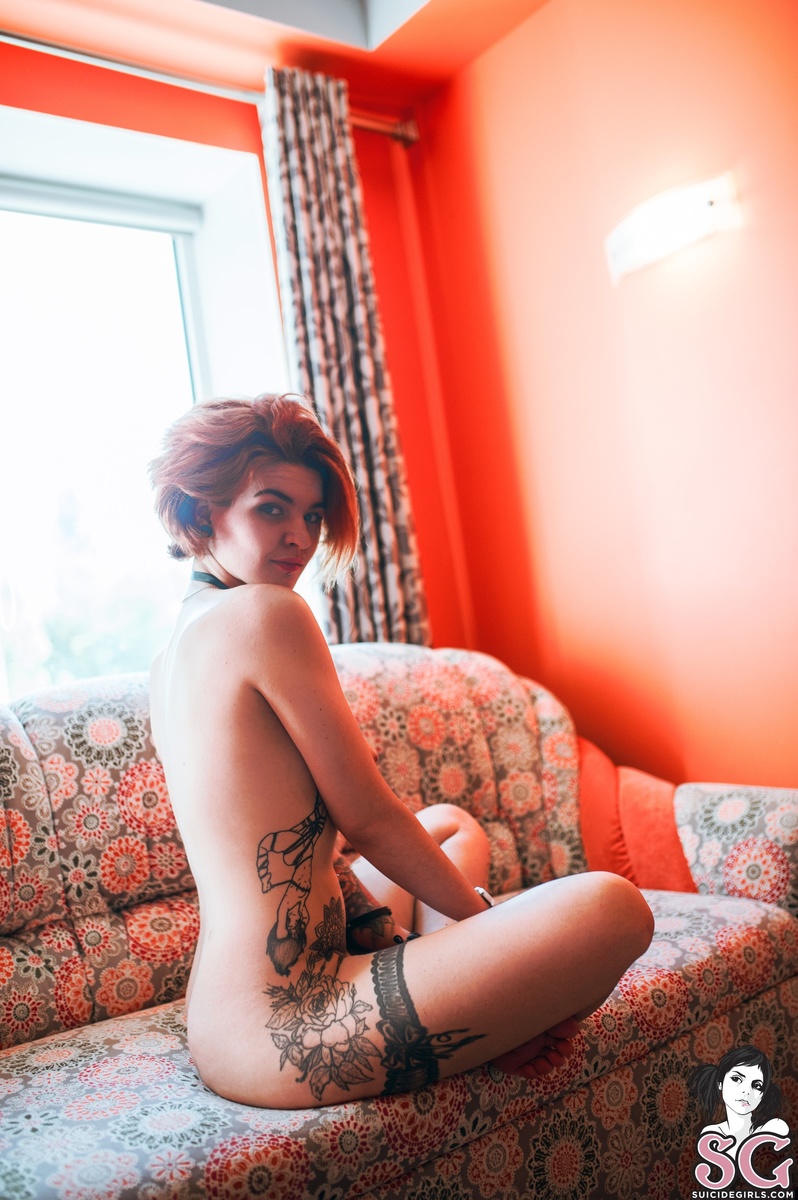 wilgelm-cuteharmfulfox-37.jpg
