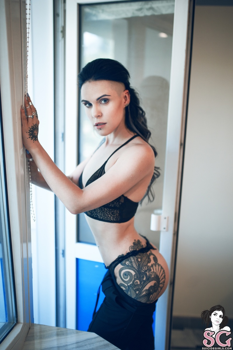 ispanka-blackswan-11.jpg