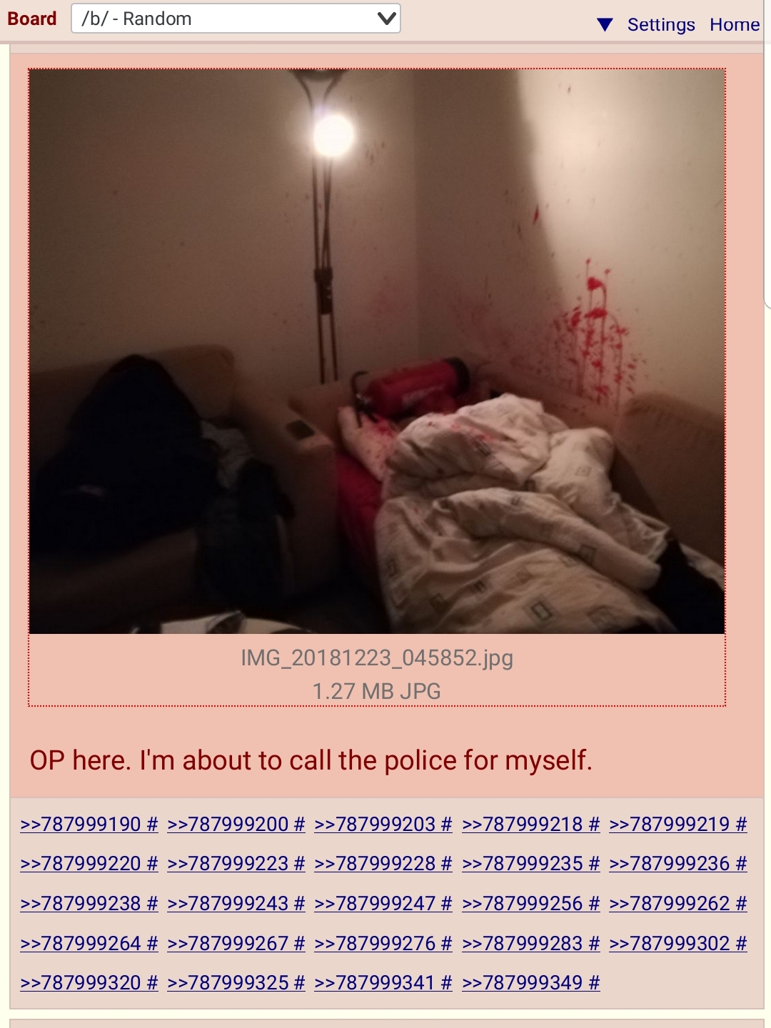 1545538260230.jpg