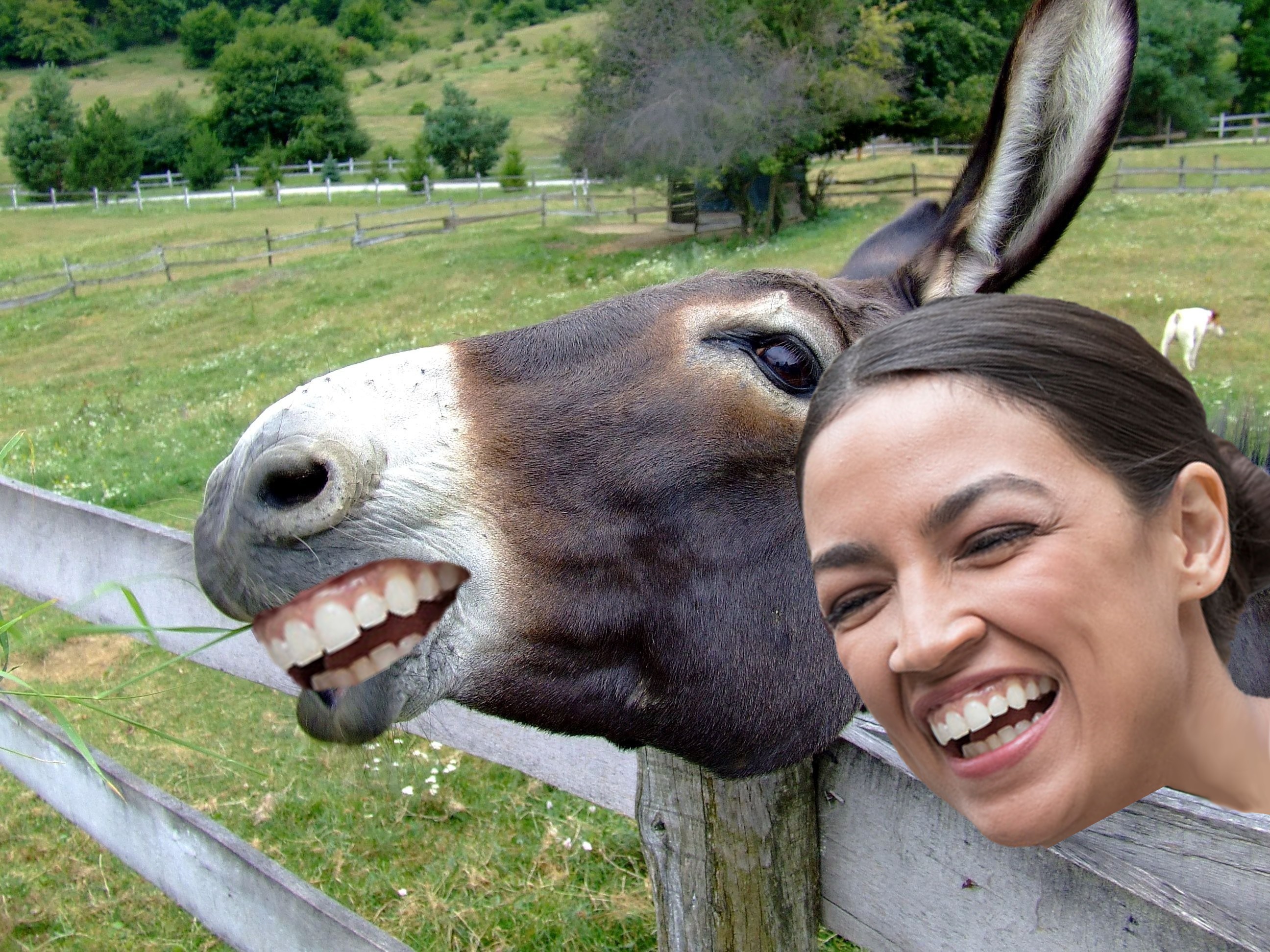 horsehead.jpg